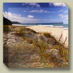 photo art block Showcasing some of New Zealand�s finest Products and souvenirs